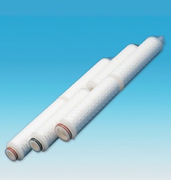 Lõi lọc giấy xếp Pall Mega-Etch